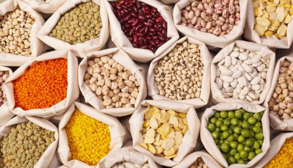 المواد الغذائية الأساسية